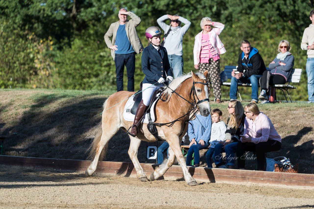 Bild 27 - Pony Akademie Turnier